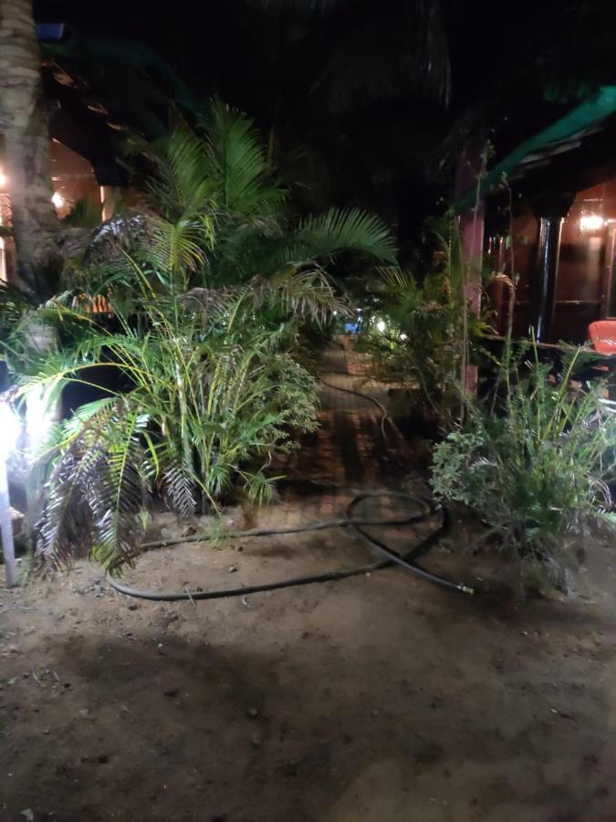 帕罗林 Casa Fiesta酒店 外观 照片
